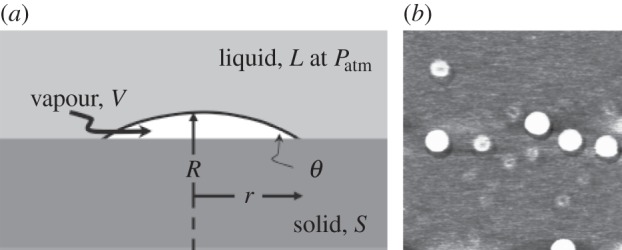 Figure 7.