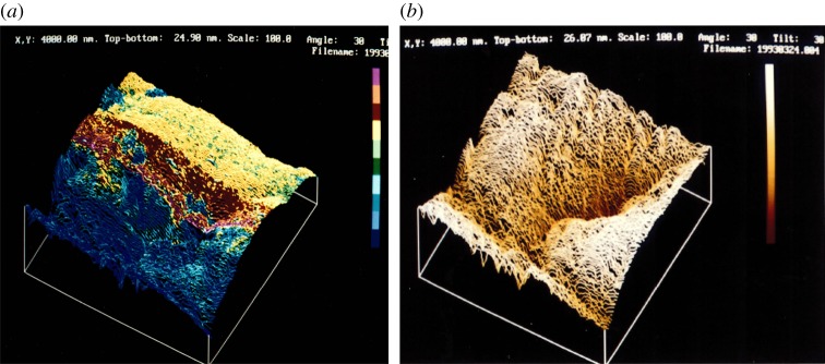 Figure 6.