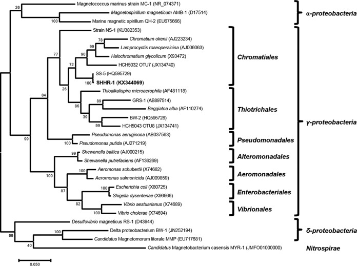 FIG 2