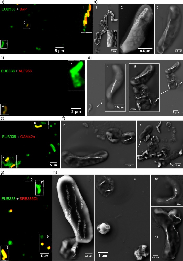 FIG 6