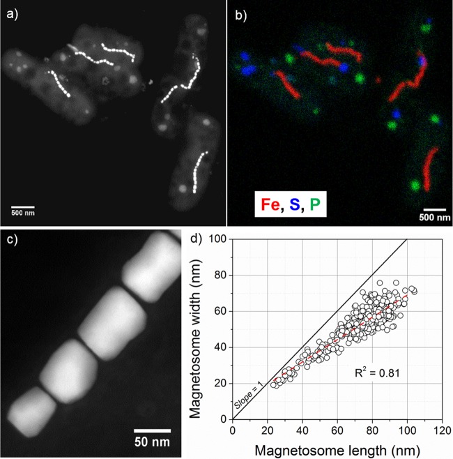 FIG 4