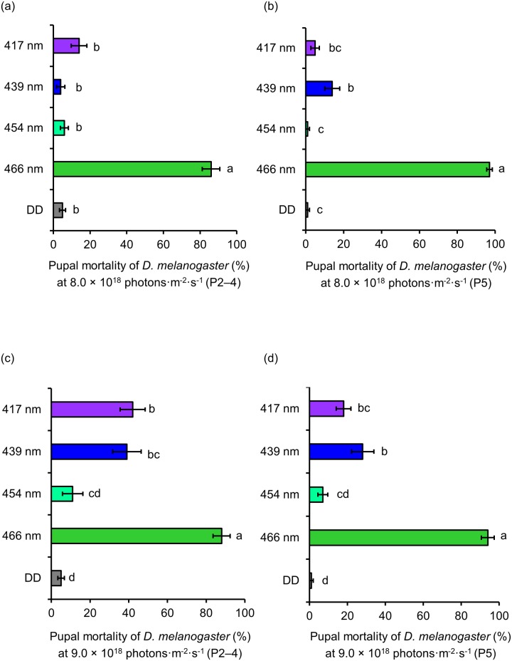 Fig 4