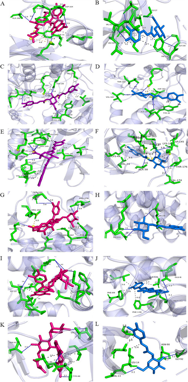 Fig. 8