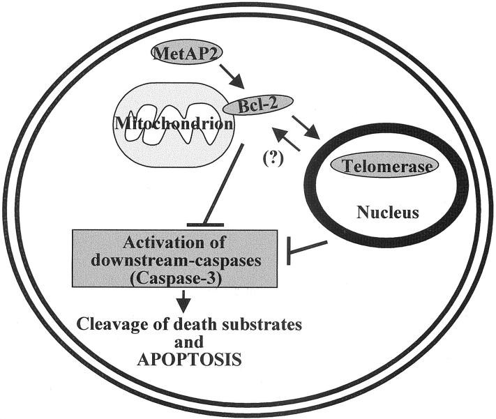 Figure 10.