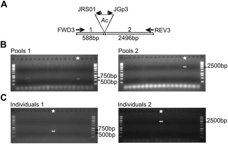 Fig 5