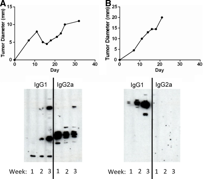 Fig. 6