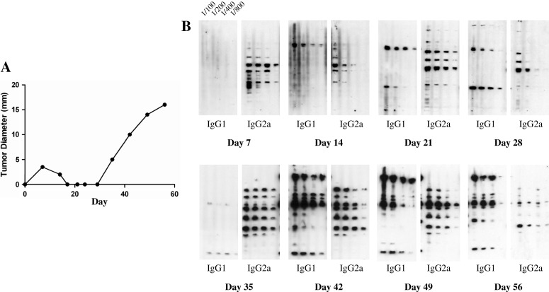 Fig. 7