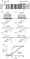 F<sc>igure</sc> 1.