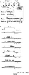 F<sc>igure</sc> 4.