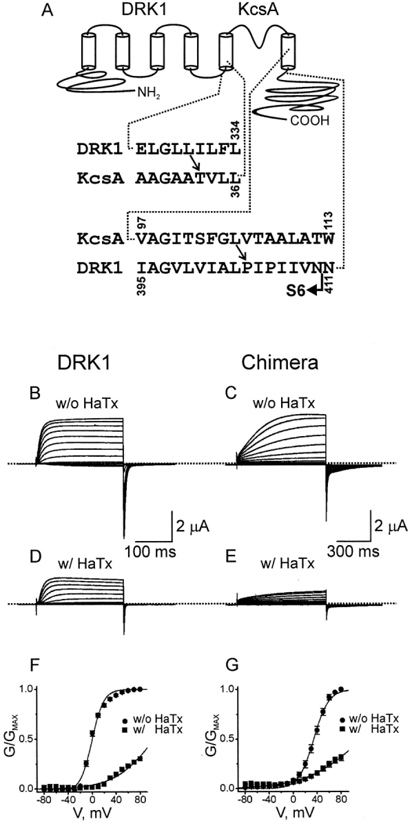 Figure 9. 