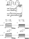 F<sc>igure</sc> 10.