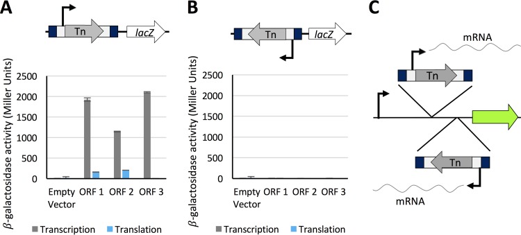 FIG 4 