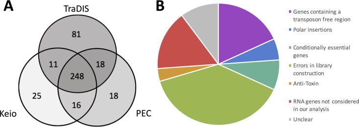 FIG 2 