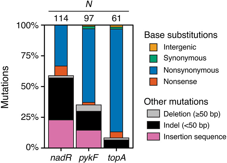 Figure 5.