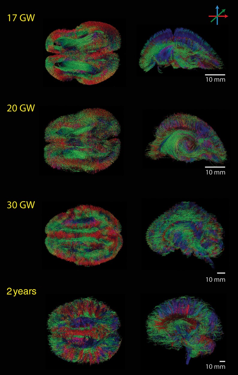 Figure 1.