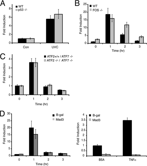 FIGURE 4.