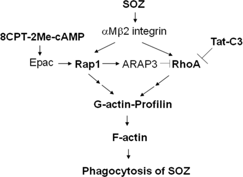 FIGURE 9.