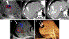Fig. 9