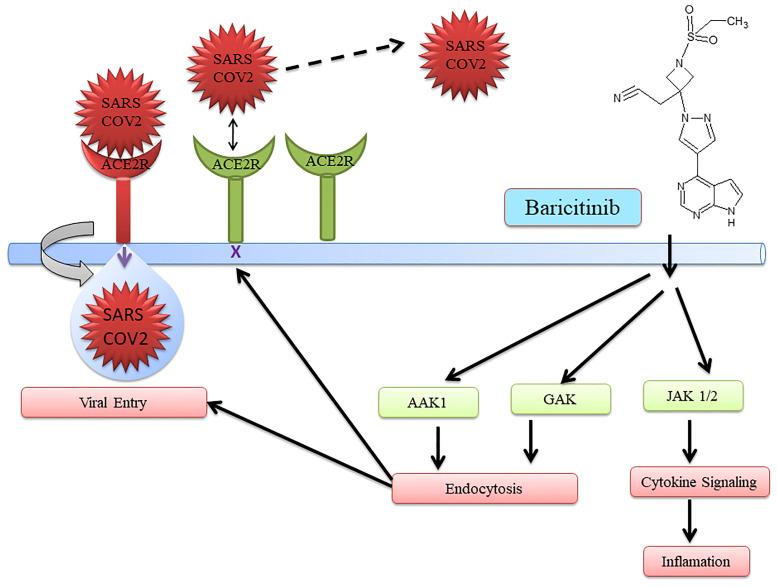 Figure 4