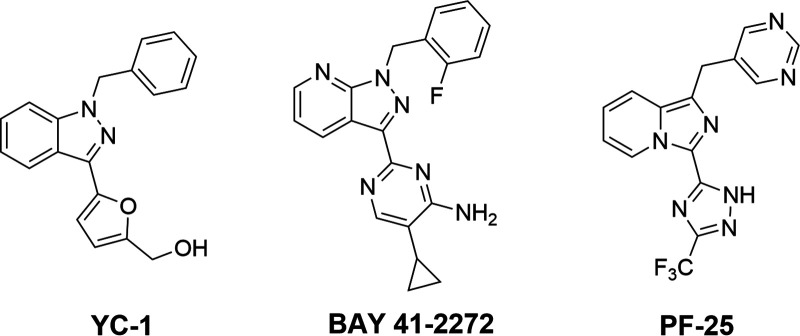 Fig. 12