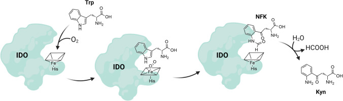 Fig. 22