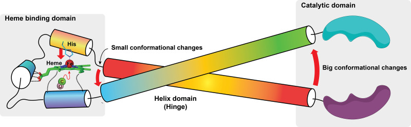 Fig. 2