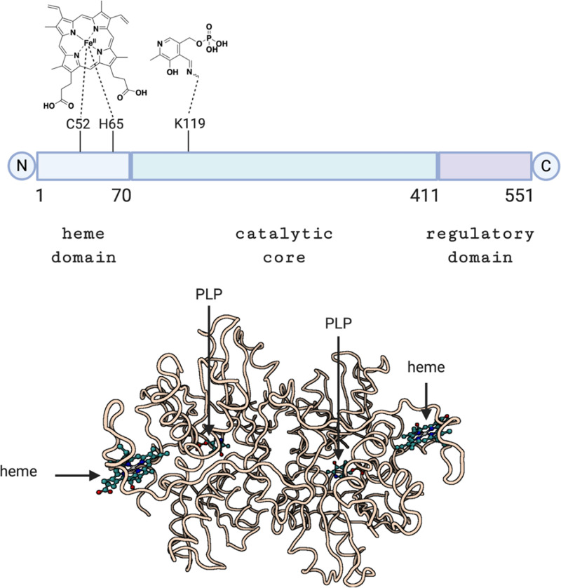 Fig. 14