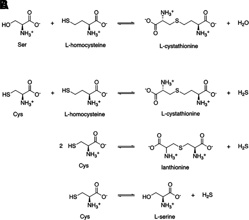 Scheme 3