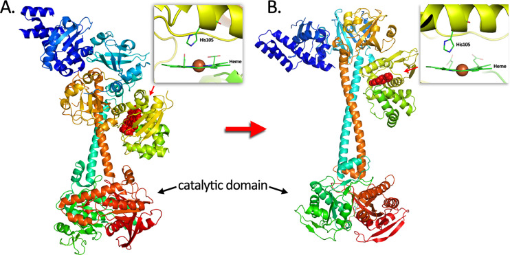 Fig. 10