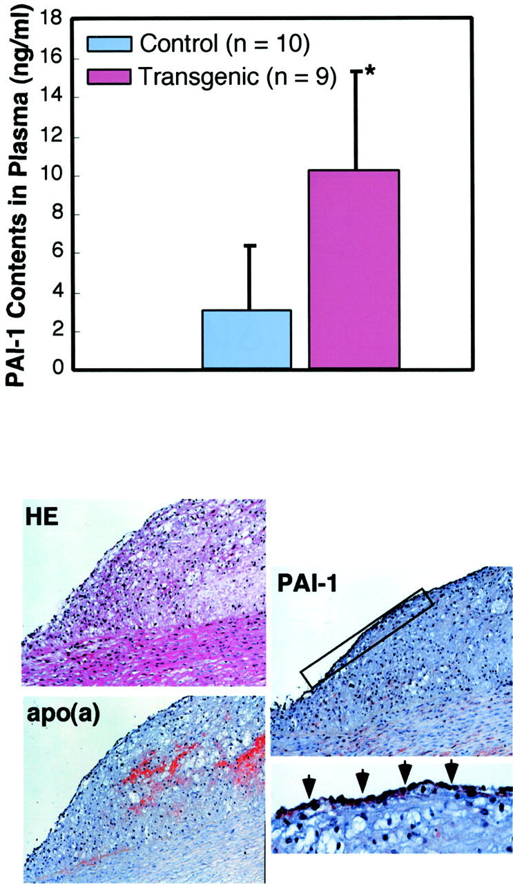 Figure 10.