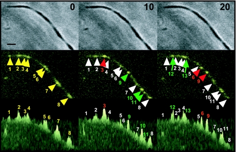 FIG. 6.