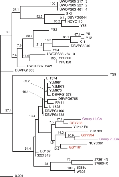 Figure 4.