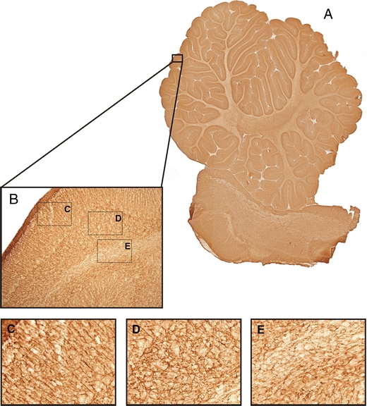 Fig. 4