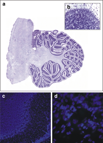 Fig. 3