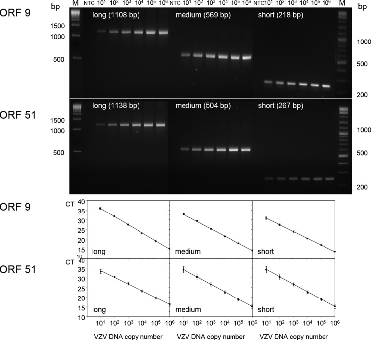 FIG 2