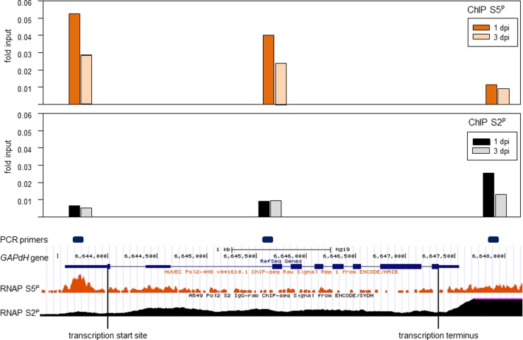 FIG 6