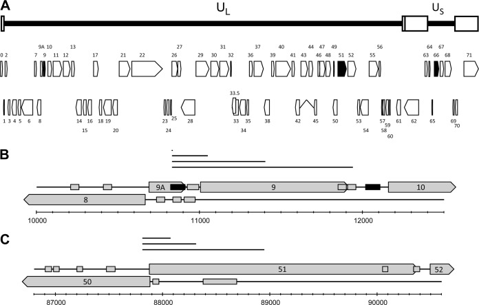 FIG 1