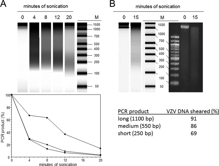 FIG 3