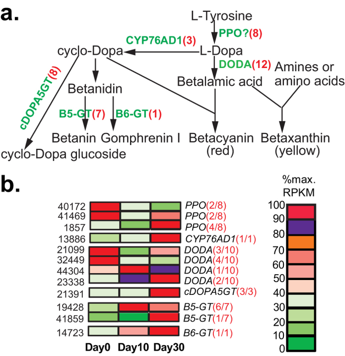 Figure 7