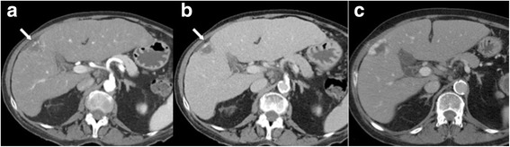 Fig. 5