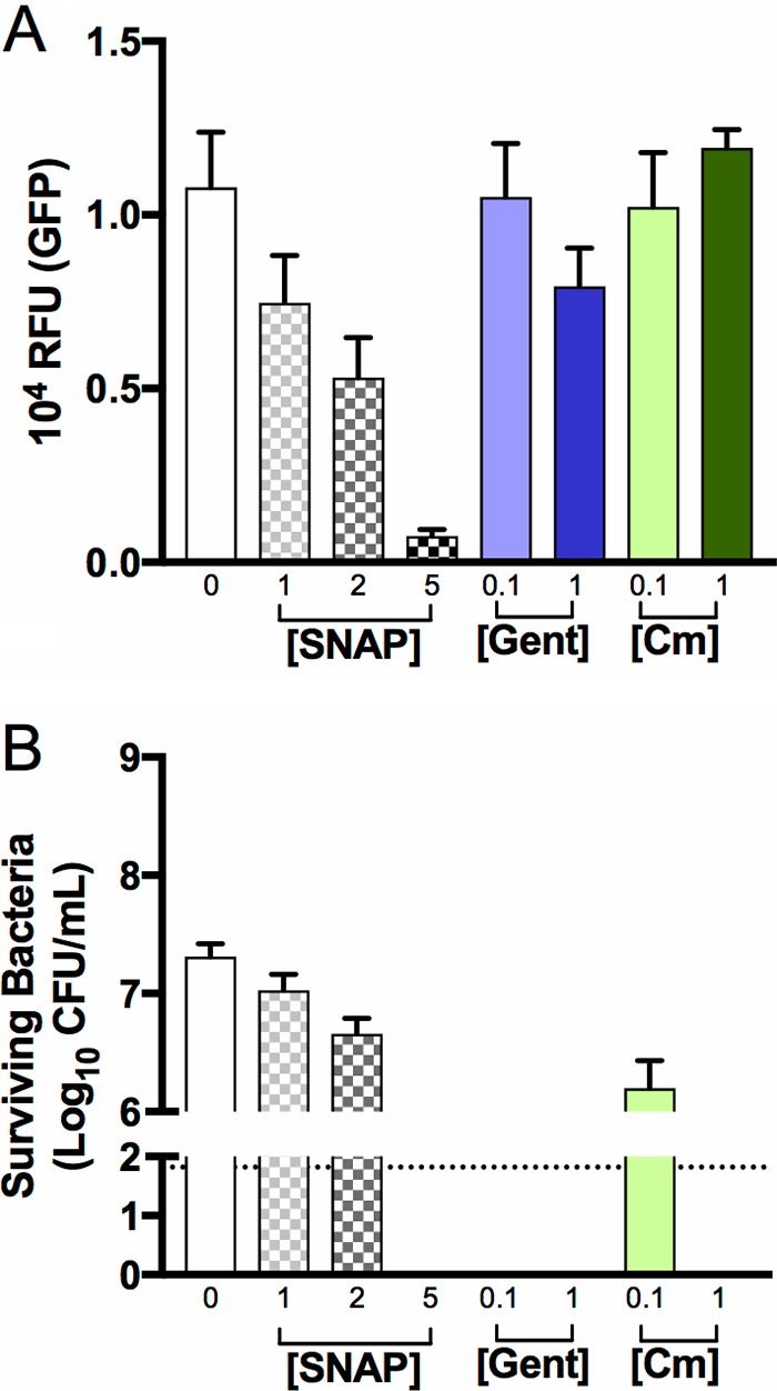 FIG 7