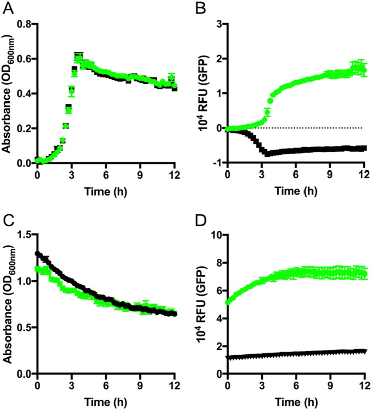 FIG 4