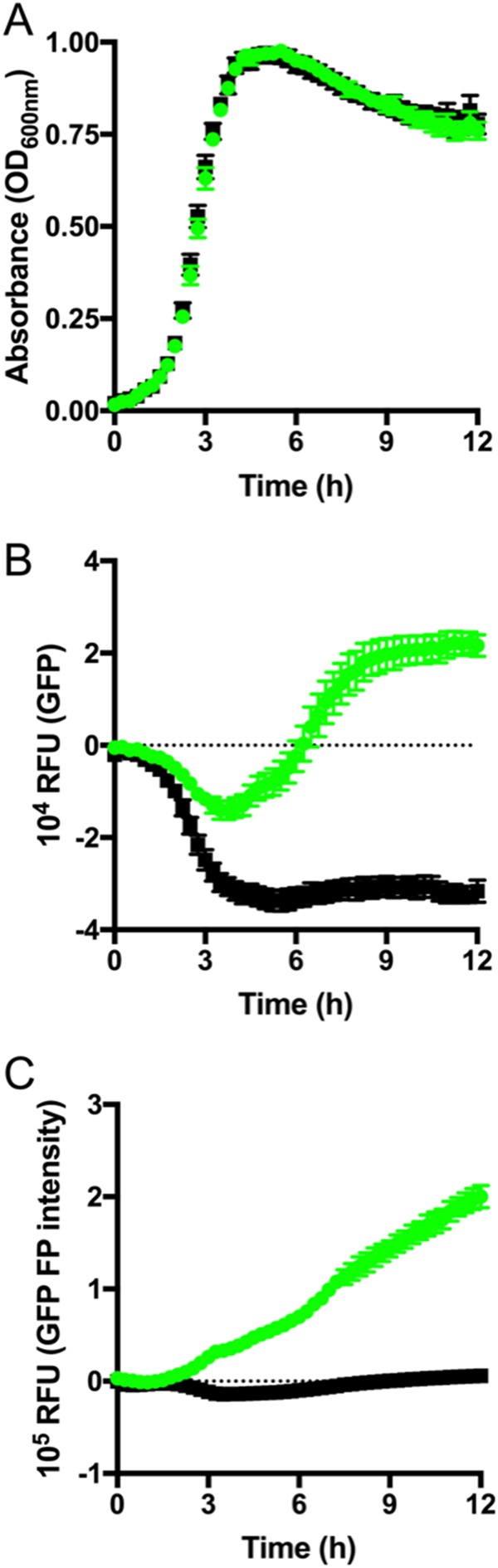 FIG 5