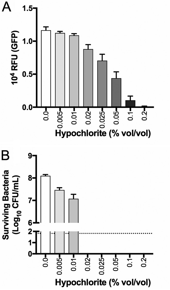 FIG 6