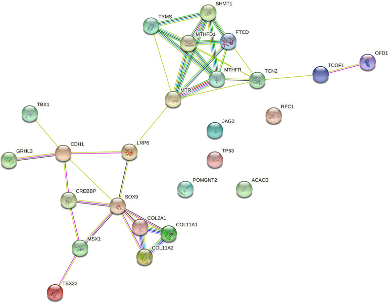 FIGURE 2