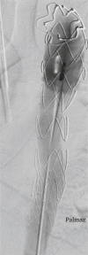 Figure 3