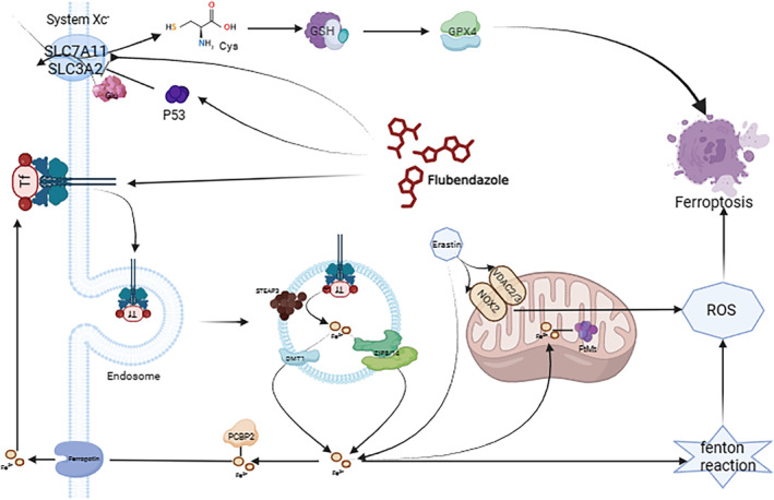 FIGURE 6