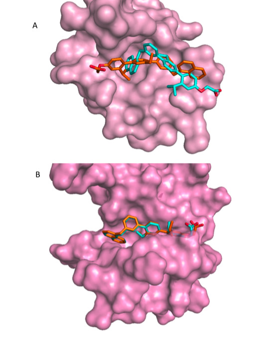 Figure 8