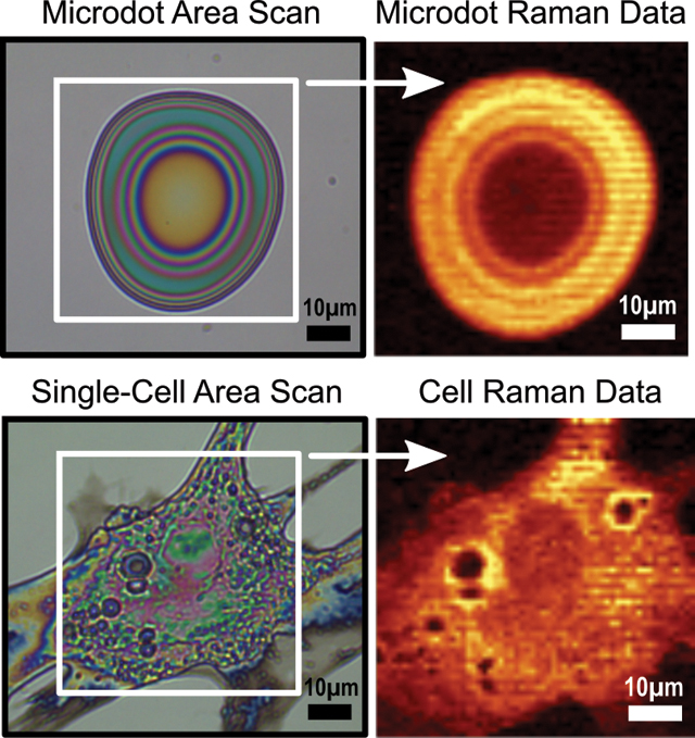 graphic file with name nihms-1031880-f0005.jpg