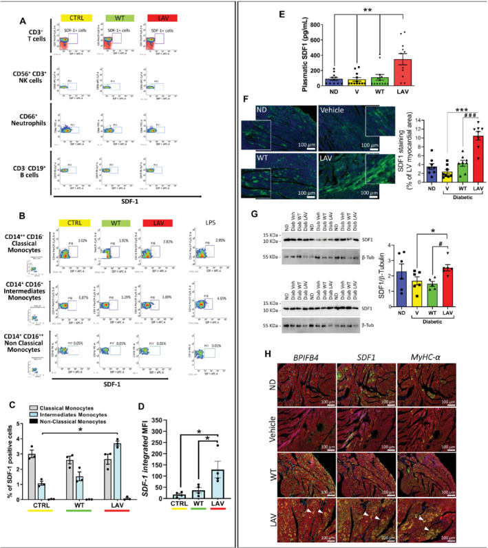 EJHF-1840-FIG-0004-c